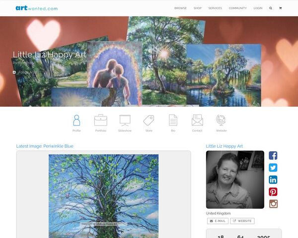 Online Portfolio