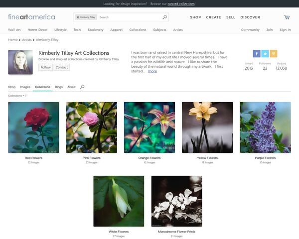 FineArtAmerica