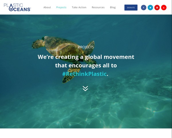 Plastic Ocean Foundation